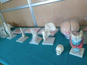 Gallery Img6