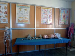Gallery Img7
