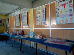 Gallery Img8